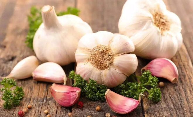 garlic-canva-health-benefits